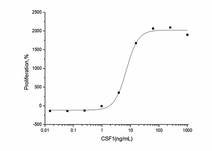 Recombinant Human M-CSF/CSF1 Protein - 2