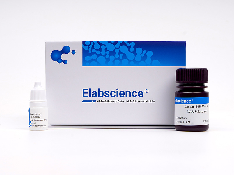 DAB Detection Kit - 1