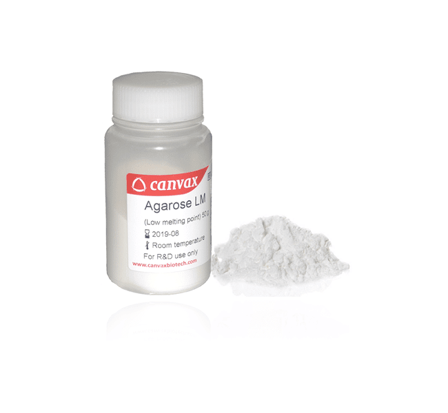 AgaPure Agarose LM – Low Melting Agarose for DNA Recovery