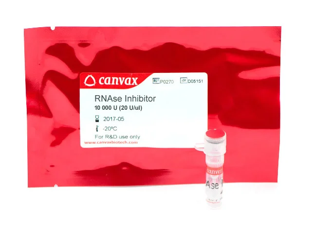 RNAse Inhibitor – High Quality Enzyme | Canvax Canvax RNAse Inhibitor 10,000 U (20 U/µL) for molecular biology research