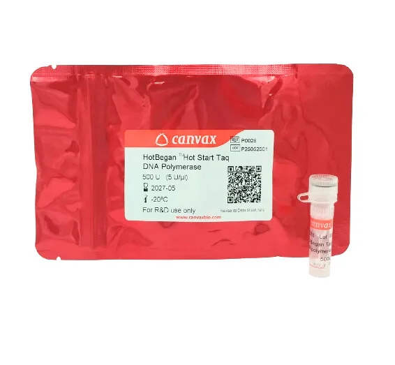 HotBegan™ Hot-Start Taq DNA Polymerase – High-specificity enzyme for reliable PCR amplification HotBegan™ Hot-Start Taq DNA Polymerase – High-specificity enzyme for reliable PCR amplification