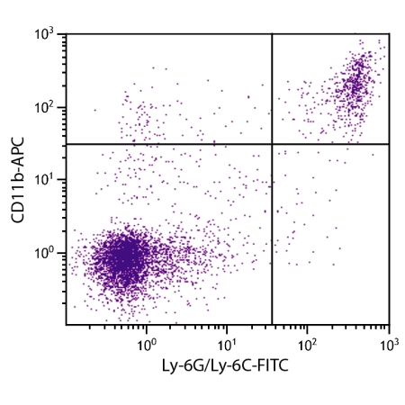BALB/c mouse splenocytes