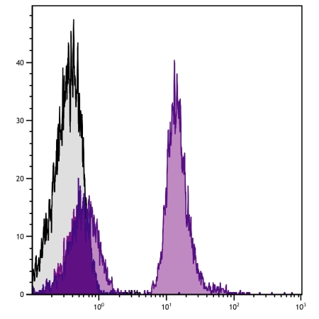C57BL/6 mouse splenocytes