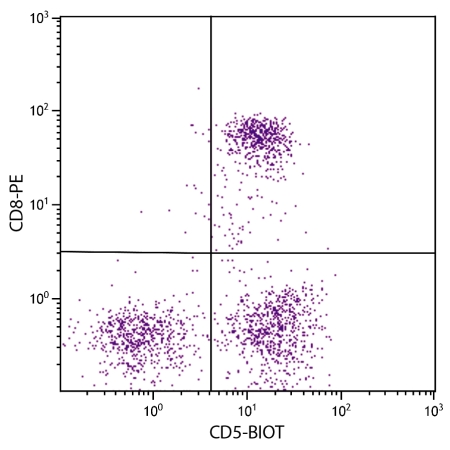 Feline CD5 Antibody : Biotin (OASB02364)