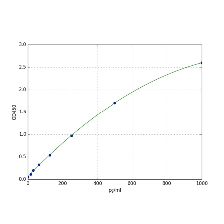 IL23A ELISA Standard Curve