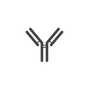 Human GFAP Antibody (OASB01332)