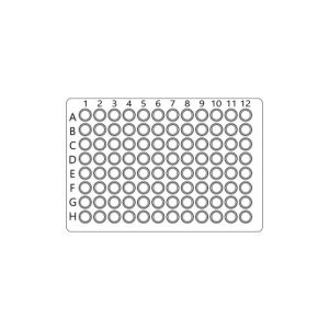 CD19 Colorimetric Cell-Based ELISA Kit (OKAG00591)