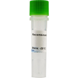 IL-6, Interleukin-6, murine (mouse)