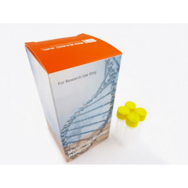 RIPA Lysis and Extraction Buffer IV, 1x Strength Solution