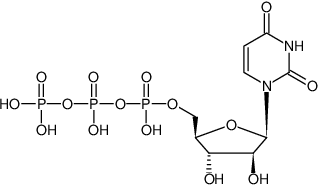 Structural formula of ara-Uridine-5'-triphosphate (ara-UTP) (Uridine-arabinofuranoside-5'-triphosphate, Sodium salt)