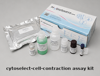 Assay Kit – Cat# MBS169268