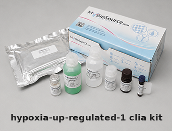 Human CLIA Kit – Cat# MBS8425554