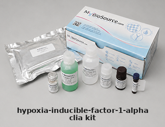Rat CLIA Kit – Cat# MBS8426769