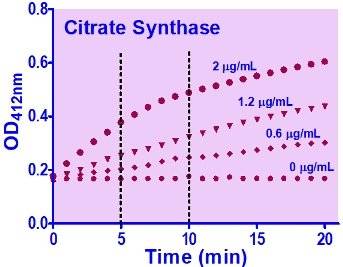 Citrate Synthase Assay Kit