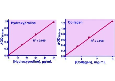 Hydroxyproline assay kit