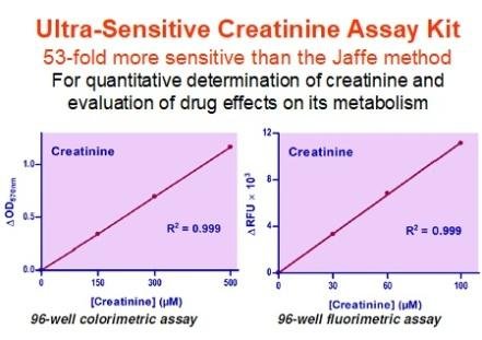 Creatinine Assay Kit