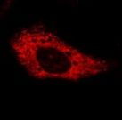 Data image of RC100108