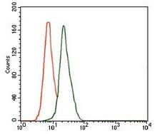Flow Cytometric analysis of HeLa cells using DLL4 antibody (green) and negative control (red).