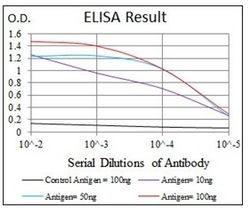DLL4 Mouse Monoclonal Antibody [Clone ID: 4A11F8/4A11G2]