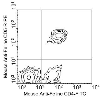 Immunofluorescent Staining: Peripheral blood mononuclear cells from a healthy domestic cat were double-stained with Mouse anti-Feline CD4-FITC (Cat.<a href = "https://www.origene.com/catalog/antibodies/primary-antibodies/am08113fc-n-cd4-mouse-monoclonal-antibody-clone-id-3-4f4" title="AM08113FC-N" class="">AM08113FC-N</a>) and Mouse anti-Feline CD5-PE. Small lymphocytes were then gated and analyzed by two-color flow