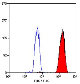 Staining of KM-H2 cells (permeabilised) with MOUSE ANTI PCNA:FITC (SM1421F)