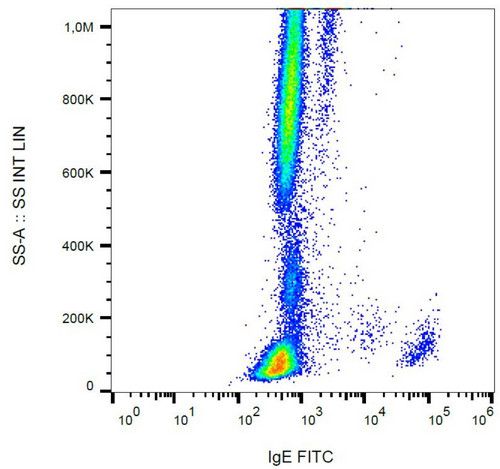 Surface staining of IgE on human peripheral blood cells with anti-IgE (4H10) FITC.