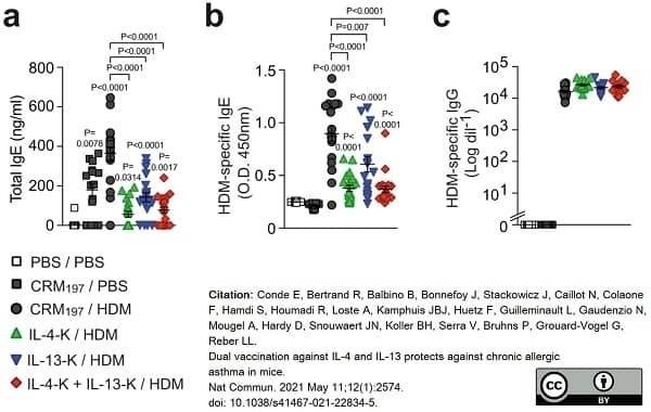 <strong>Published customer image:</strong> <br>Goat anti Mouse IgE antibody (<strong>STAR110</strong>) used as a coating reagent in a  sandwich ELISA to assess IgE levels in murine serum samples.<br><strong>Image caption:</strong><br>a–c Levels of total IgE (a), HDM-specific IgE (b), and HDM-specific IgG (c) 24 h after theanti Mouse  last HDM challenge. Results show values from individual mice with bars indicating mean &plusmn; SEM from n = 12 mice (PBS/PBS group), n = 16 mice (CRM197/PBS group), n = 19 mice (IL-13-K/HDM group), or n = 20 mice (IL-4-K and IL-4-K + IL-13-K groups) pooled from two independent experiments.<br><br>From: Conde E, Bertrand R, Balbino B, Bonnefoy J, Stackowicz J, Caillot N, Colaone F, Hamdi S, Houmadi R, Loste A, Kamphuis JBJ, Huetz F, Guilleminault L, Gaudenzio N, Mougel A, Hardy D, Snouwaert JN, Koller BH, Serra V, Bruhns P, Grouard-Vogel G, Reber LL.<br>Dual vaccination against IL-4 and IL-13 protects against chronic allergic asthma in mice.<br><a href="https://pubmed.ncbi.nlm.nih.gov/33976140/"target="_blank" rel="noopener">Nat Commun. 2021 May 11;12(1):2574</a>.<br>doi: 10.1038/s41467-021-22834-5.<br>This image is from an open access article distributed under terms of a <a href="https://creativecommons.org/licenses/by/4.0/"target="_blank" rel="noopener">Creative Commons Attribution License</a>.