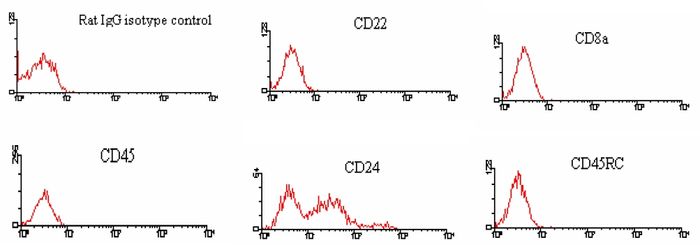 <strong>Immunofluorescent Staining:</strong> BALB/c splenocytes were incubated with Rat IgG2a Isotype Control, Rat anti-Mouse CD22 (2D6, Rat IgG1), Rat anti-Mouse CD8 (53-6.7, Rat IgG2a), Rat anti-Mouse CD45 (LCA) (I3/2.3, Rat IgG2b), Rat anti-Mouse CD24 (30-F1, Rat IgG2c), and Rat anti-Mouse CD45RC (GL24, Rat IgM). After washing, the cells were stained with FITC-labeled Mouse Anti-Rat IgG2c. Small Lymphocytes were gated and analyzed on a FACScan(TM) flow cytometer (BDIS, San Jose, CA). Amount Used: < / = 0.3 µg/10e6 cells.