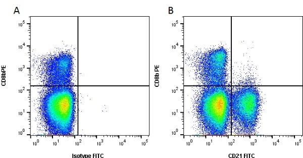 Figure A. RPE conjugated Mouse anti Bovine CD8&beta; antibody, clone CC58 (<strong><a href="https://www.bio-rad-antibodies.com/product/partnumber/MCA1654PE.html"target="_blank">MCA1654PE</a></strong>) and FITC conjugated Mouse IgG1 isotype control (<strong><a href="https://www.bio-rad-antibodies.com/product/partnumber/MCA928F.html"target="_blank">MCA928F</a></strong>).<br>Figure B. RPE conjugated Mouse anti Bovine CD8&beta; antibody, clone CC58 (<strong><a href="https://www.bio-rad-antibodies.com/product/partnumber/MCA1654PE.html"target="_blank">MCA1654PE</a></strong>) and FITC conjugated Mouse anti Bovine CD21 antibody, clone CC21 (<strong>AM05516FC-N</strong>). All experiments performed on red cell lysed bovine blood gated on lymphocytes in the presence of 10% bovine serum. <br>Data acquired on the <strong><a href="https://www.bio-rad.com/en-uk/product/ze5-cell-analyzer?ID=OC62Q015"target="_blank">ZE5 Cell Analyzer</a></strong>.