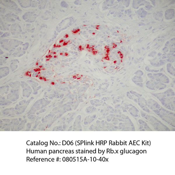 SPlink HRP Rabbit AEC Detection Kit