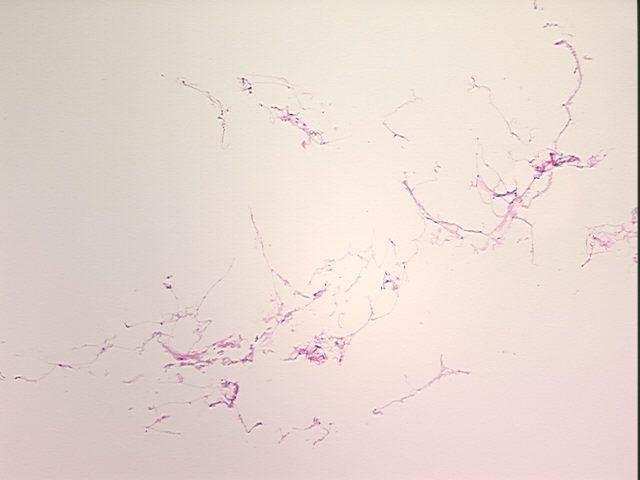 4x Image