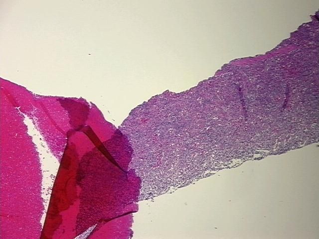 4x Image