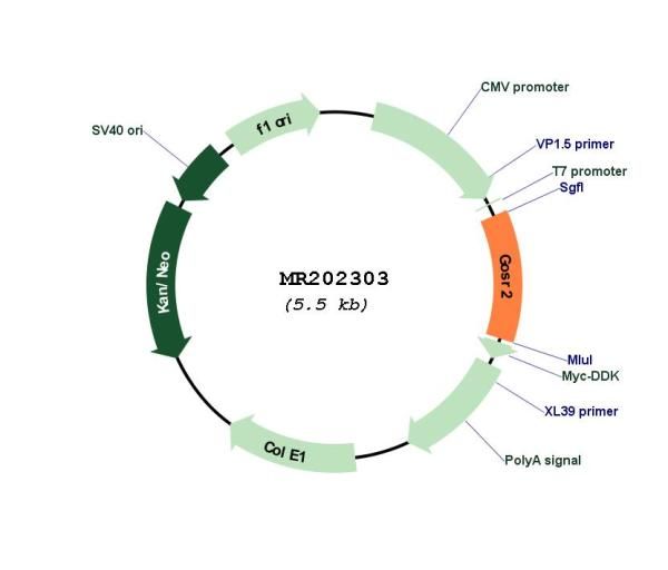 Circular map for MR202303