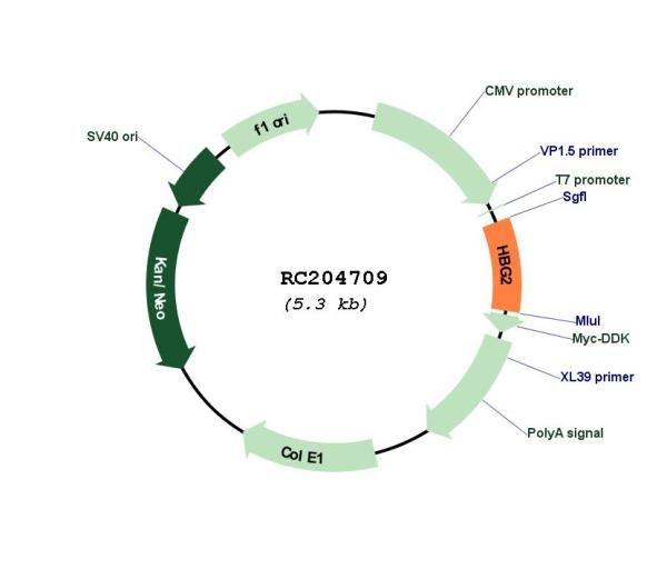 Circular map for RC204709
