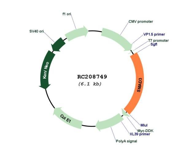 Circular map for RC208749