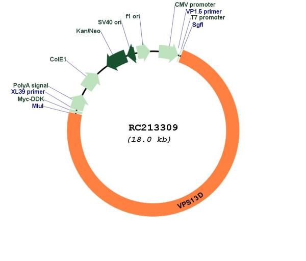 Circular map for RC213309