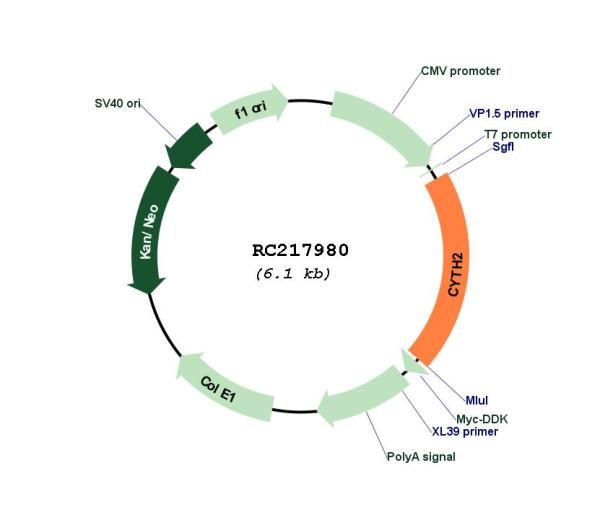 Circular map for RC217980