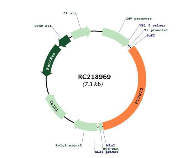 Circular map for RC218969
