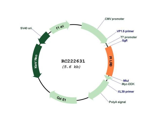 Circular map for RC222631