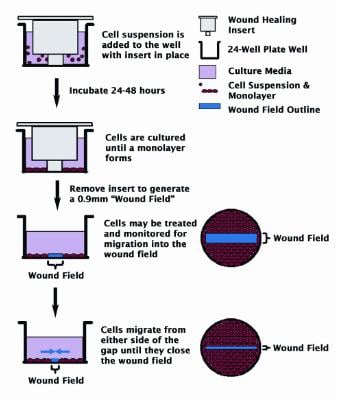 Assay Kit, Testing Data #2 – Cat# MBS168434