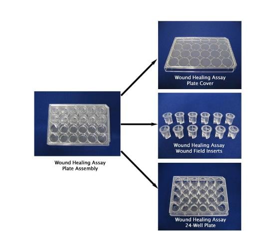 Assay Kit, Testing Data #3 – Cat# MBS168434