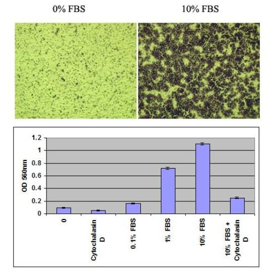 Assay Kit, Testing Data #3 – Cat# MBS168726