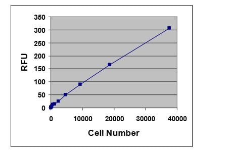 Assay Kit, Testing Data #2 – Cat# MBS168078