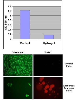 Assay Kit – Cat# MBS168164