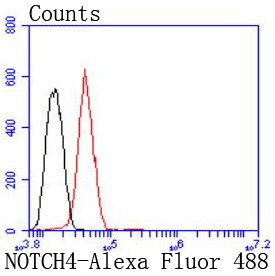 Anti-Notch 4 Antibody (8L466)