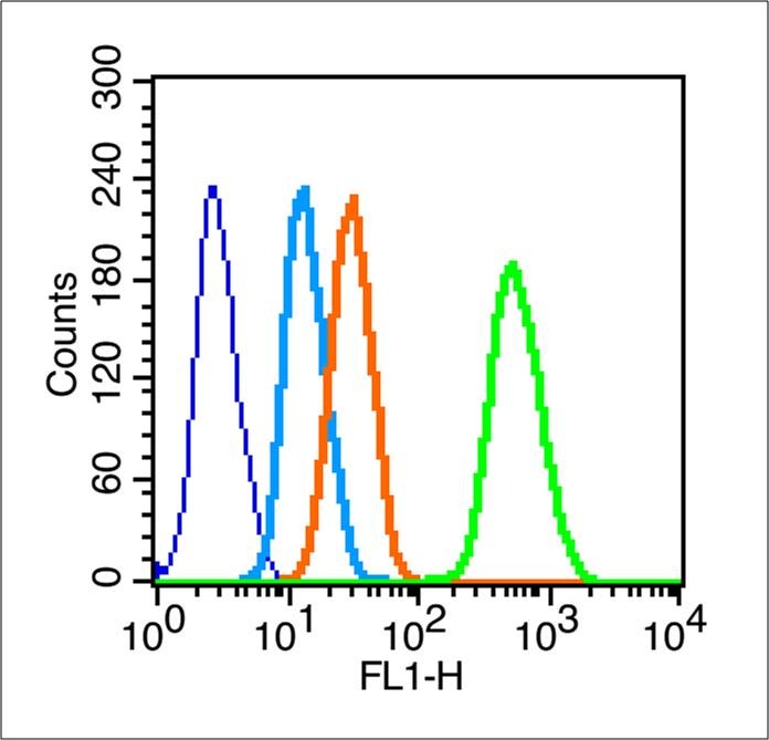 Anti-NANOG Polyclonal Antibody
