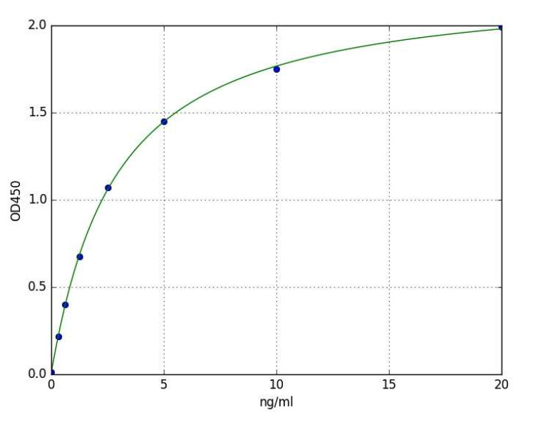 ADAMTS7 BioAssay™ ELISA Kit
