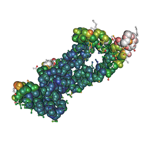 Native Human FIBRINOGEN