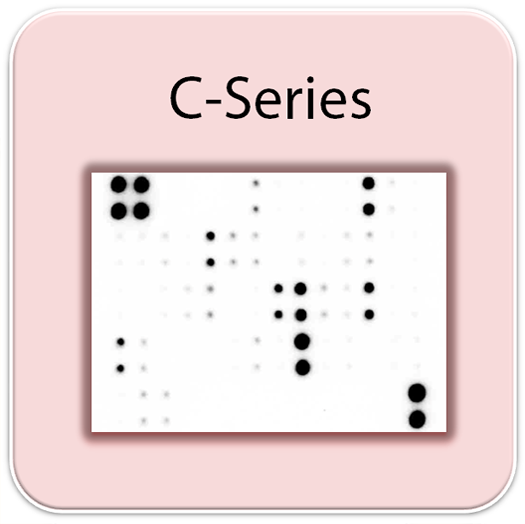 Human Cancer Discovery Array C3