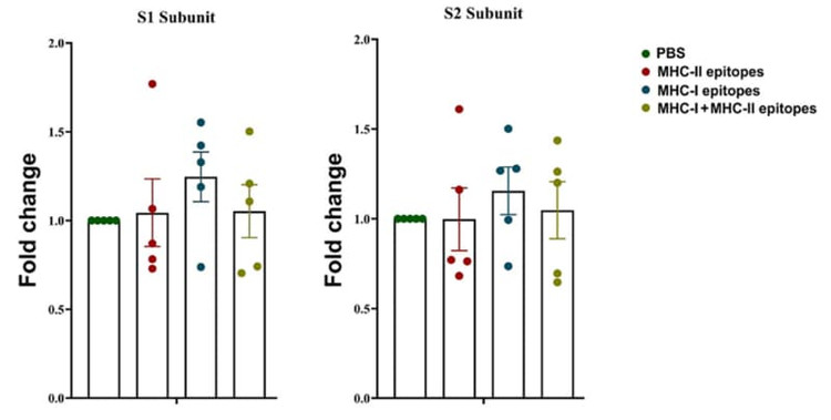 Figure adapted from Atanasova et al., Pharmaceuticals, 2024.